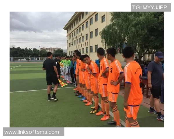 乔丹足球鞋的魅力与性能解析助你在球场上尽显风采